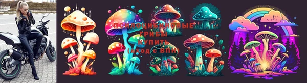 СК Инта