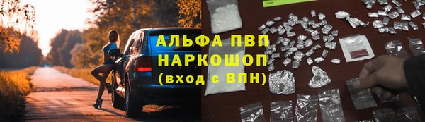 молекула духа Иннополис
