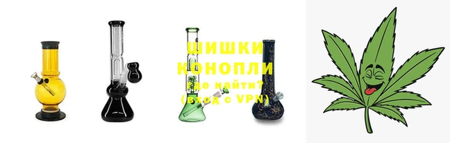 СК Инта