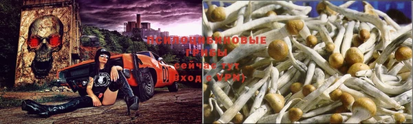 mix Инсар