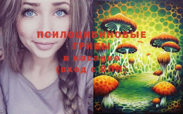 mix Инсар