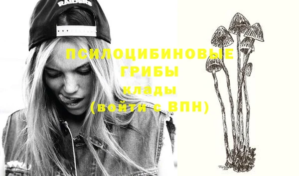 молекула духа Иннополис