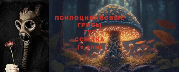 дурь Шадринск