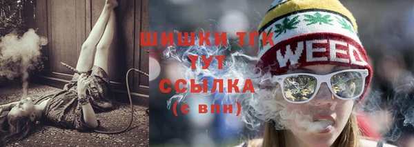 СК Инта